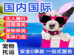 肥东白龙机场物流国际宠物托运 【国